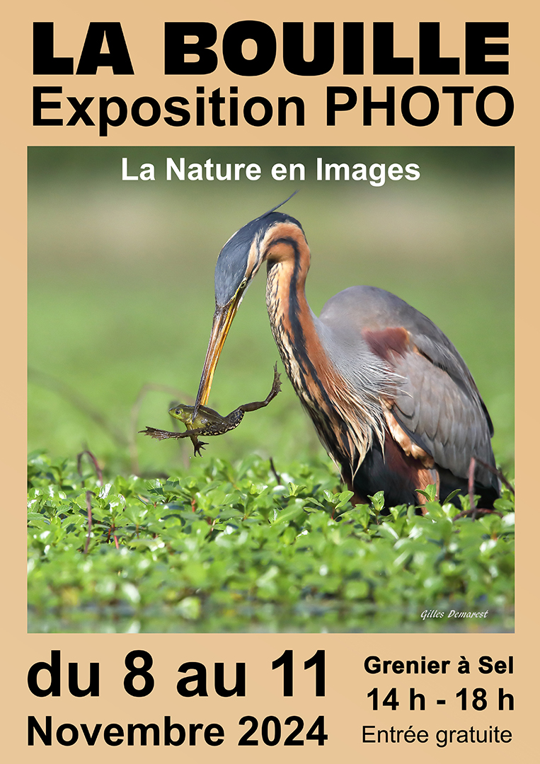 Affiche Nature 2024 01 mail